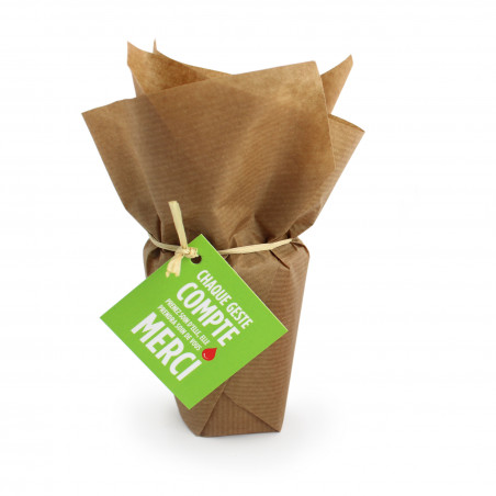 Plant d'arbre en sac kraft...