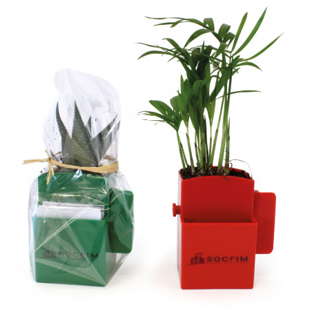 La Végétal- Box plante
