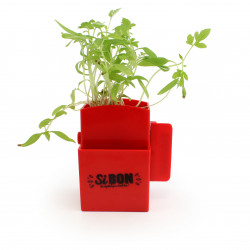 La Végétal- Box Kit