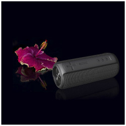 Prixton Ohana XL Bluetooth® haut-parleur