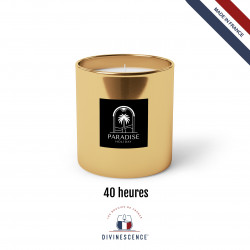 Bougie végétal 180g (40H)
