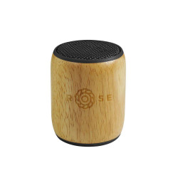 Enceinte bluetooth 4.0 BWE1927