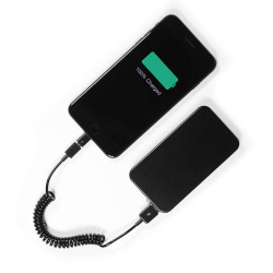 Câble format téléphone BWE1928