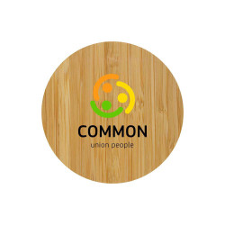 Chargeur induction INDUBAM