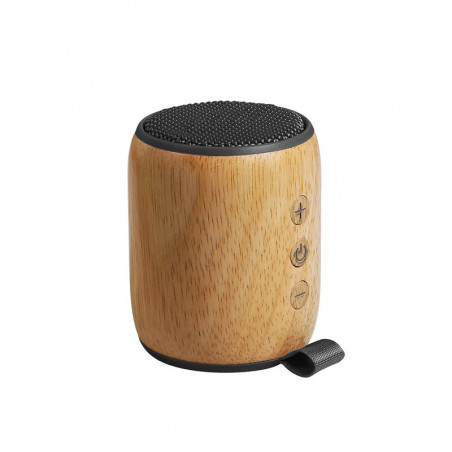 Enceinte bluetooth 4.0 BWE1927
